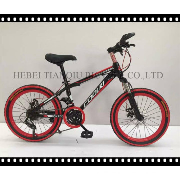 New Arrival China Made Ce Passsed Mountain Bike Bicycle, MTB for Sale